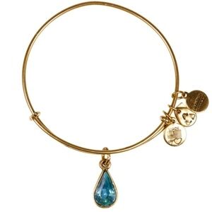 Alex and Ani Gold charity by design living water bracelet